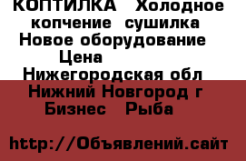 КОПТИЛКА - Холодное копчение  сушилка. Новое оборудование › Цена ­ 220 000 - Нижегородская обл., Нижний Новгород г. Бизнес » Рыба   